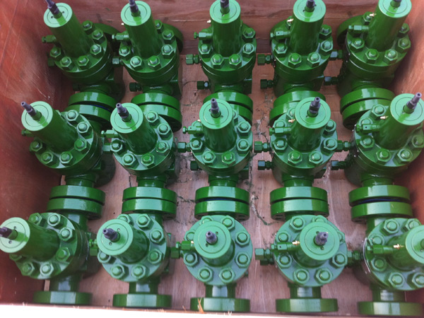 Expansion valve for petroleum machinery